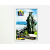 thumb-1