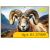 thumb-1